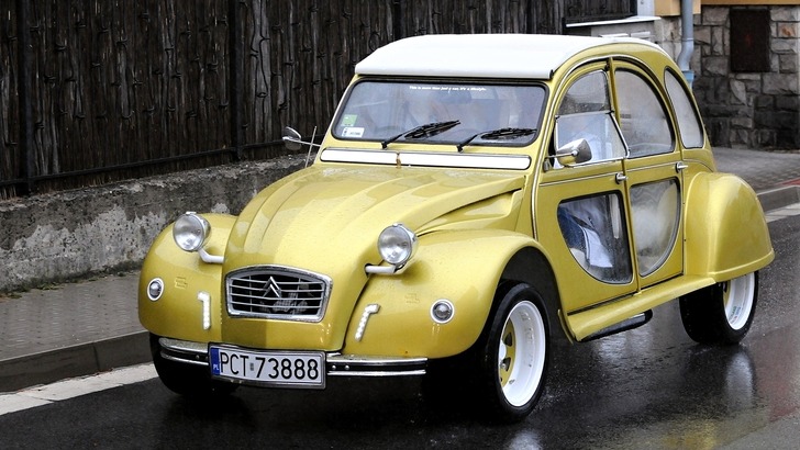 Na Broďáku si daly dostaveníčko kachny Na Broďáku si daly dostaveníčko kachny