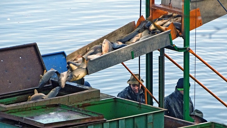 Po dvou letech se na Špinku vrátili rybáři Po dvou letech se na Špinku vrátili rybáři
