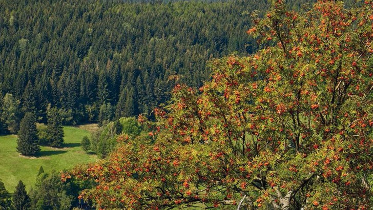 Vlastivědný sborník Rodným krajem č. 61 je již v prodeji