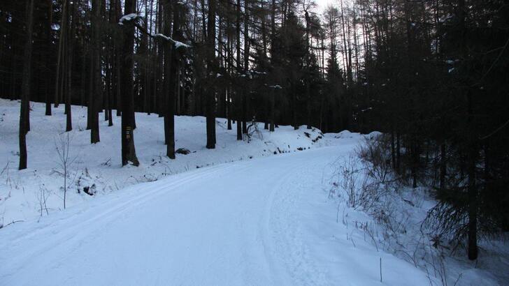 Sněhové zpravodajství z 22. 1. 2021 z Jestřebích hor o stavu běžkařských stop Sněhové zpravodajství z 22. 1. 2021 z Jestřebích hor o stavu běžkařských stop