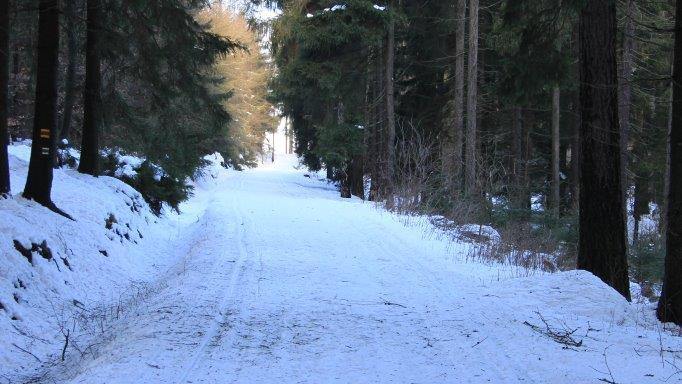 Jestřebí hory – aktuální sněhové zpravodajství z 29. 1. 2021 Jestřebí hory – aktuální sněhové zpravodajství z 29. 1. 2021