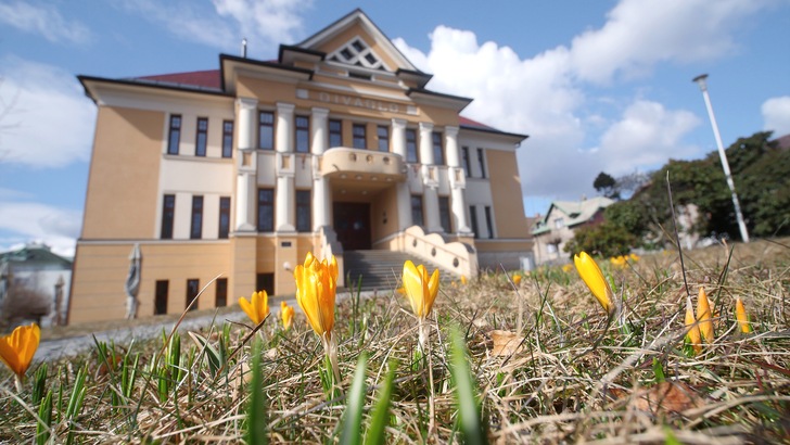 Květinová výzdoba města rozkvétá