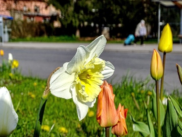 Fotograf: Jan Brož