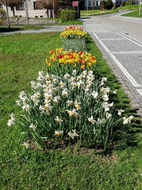 Fotograf: Jan Brož