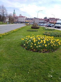 Fotograf: M. Nejmanová