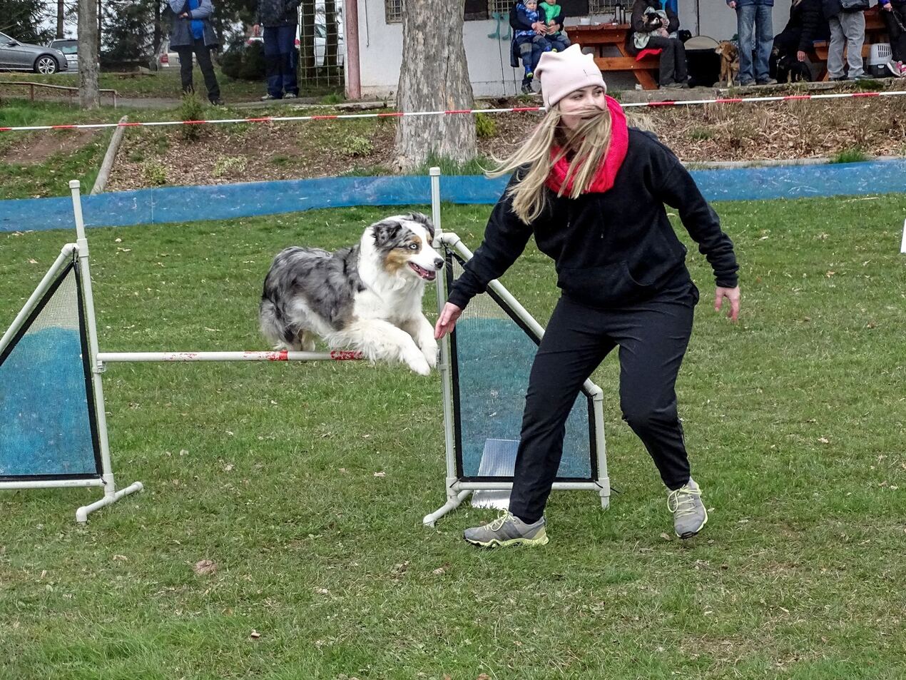 Agility závody V. Brodíkův speciál Agility závody V. Brodíkův speciál