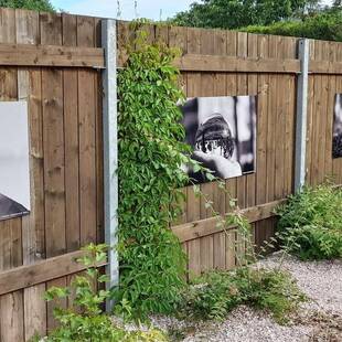 Fotografie v zahradě Fotografie v zahradě