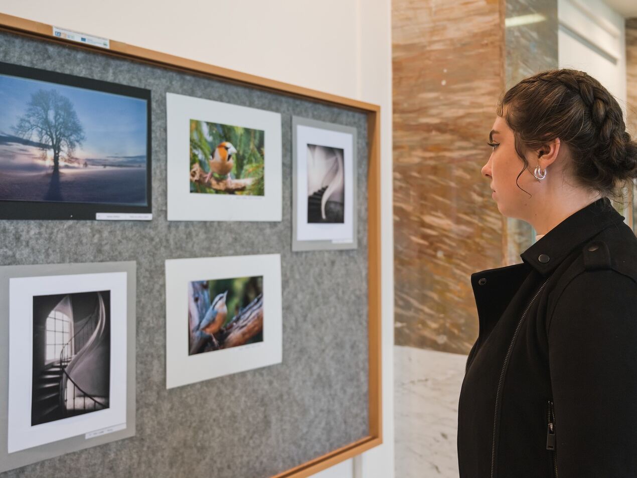 FOTOGRAFIE 2022 opět v Červeném Kostelci FOTOGRAFIE 2022 opět v Červeném Kostelci