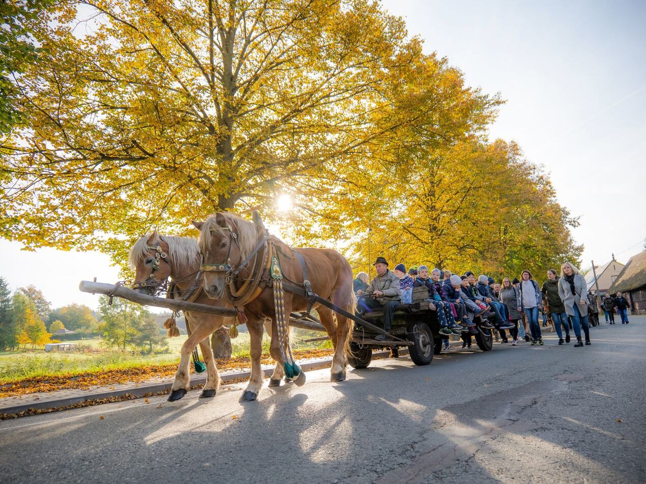 Tradiční Olešenské posvícení 2022