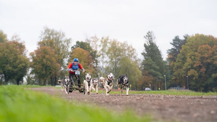 26. ročník dvoudenních závodů psích spřežení 26. ročník dvoudenních závodů psích spřežení