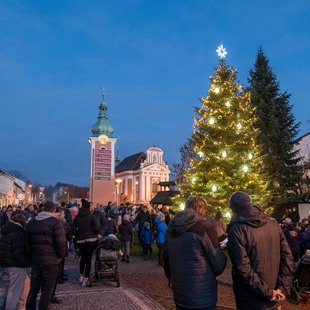 Rozsvícení vánočního stromu zahájilo advent v Červeném Kostelci Rozsvícení vánočního stromu zahájilo advent v Červeném Kostelci