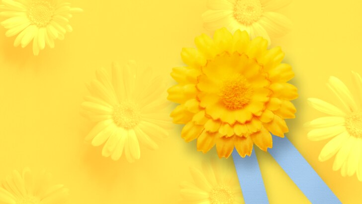 Žluté kytičky letos vykvetou na ulicích 15. května!