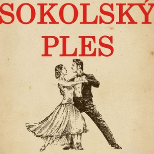 Sokolský ples a dětský karneval v Olešnici