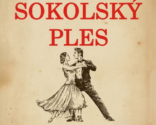 Sokolský ples a dětský karneval v Olešnici