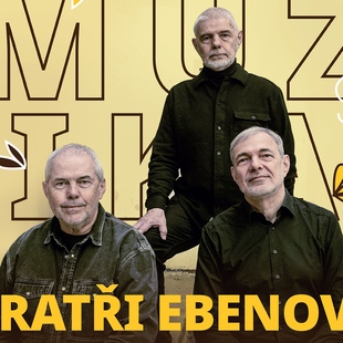 Koncert v zahradě: Bratři Ebenové
