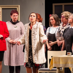 29. východočeská přehlídka amatérského činoherního a hudebního divadla Červený Kostelec 2026