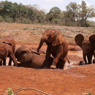 Beseda: Můj africký příběh