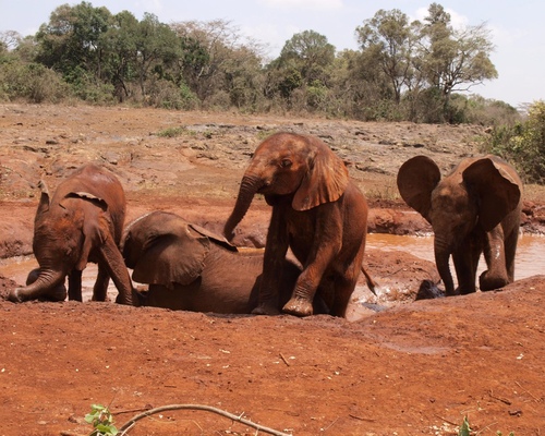 Beseda: Můj africký příběh