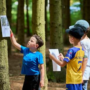 Letní příměstské tábory na Háčku Letní příměstské tábory na Háčku