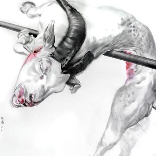 Jiří Straka – „Kozy, dráty, mýtiny“