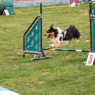Brodíkův speciál 9. ročník