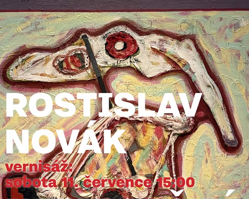 Rostislav Novák: Nebezpečná místa